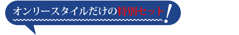 オンリースタイルだけの特別セット